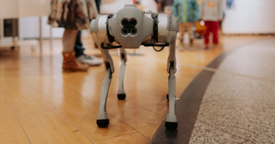 Ein Roboterhund