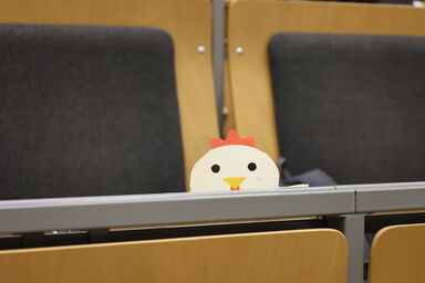 Ein Teil einer Modell-Konstruktion - ein Hühnerkopf - schaut über die Tischkante einer Sitzreihe im Hörsaal