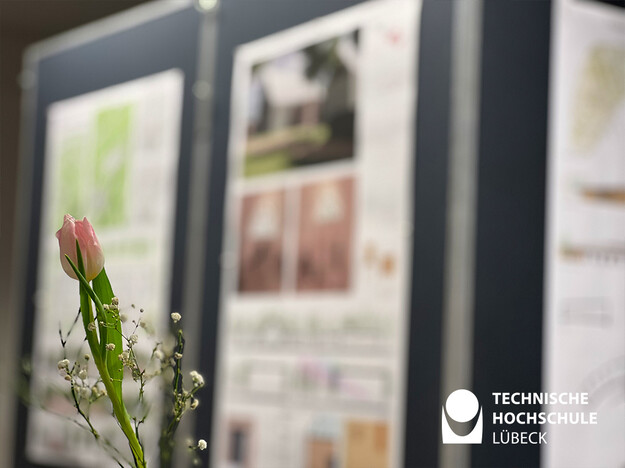 Festliche Gestaltung des Bauforums eine rosa Tulpe