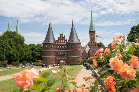 Das historische Holstentor in Lübeck, eingerahmt von unscharfen Rosenblüten.
