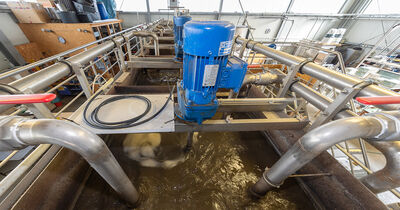 Zu sehen ist die Versuchs- und Ausbildungskläranlage der Technischen Hochschule in Reinfeld. In einem Becken ist das Abwasser zu sehen.