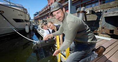 Drei Wissenschaftler*innen lassen eine Sonde ins Wasser.