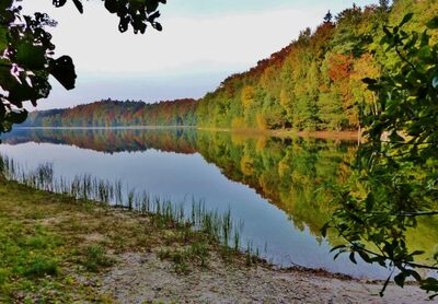 Der Garrensee im Kreis Herzogtum Lauenburg bei Ratzeburg, einer der mit dem Grundwasser verbundenen Seen die sinkende Wasserstände aufweisen.