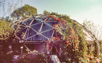 Geodätische Kuppel, teilweise von herbstlichen Rankpflanzen überwachsen.