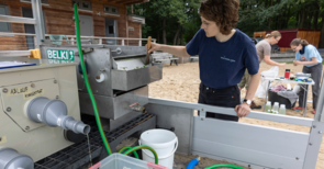 Frau bei der Algenernte