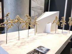 Ausstellungsobjekt 9 Objekt zeigt dreieckiges Haus mit steigendem Dach