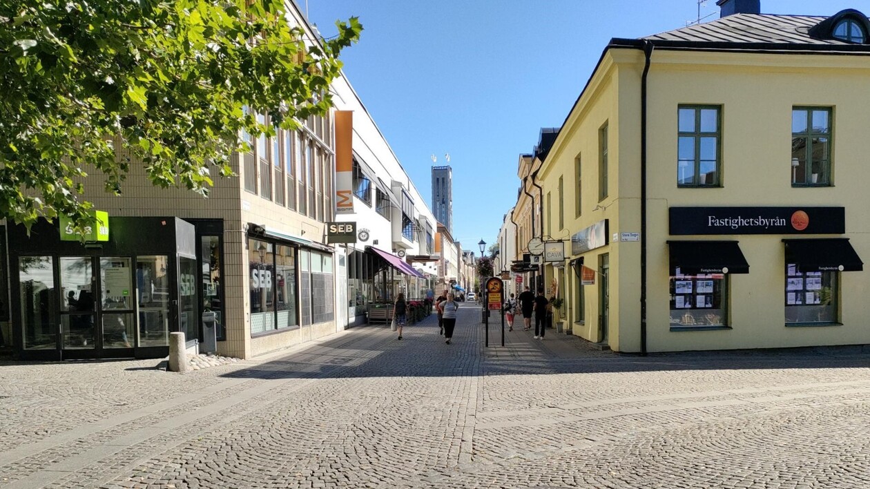 Eine Fußgängerzone, die auf beiden Seiten von Gebäuden begrenzt wird, an denen auch Werbefahnen hängen. Außerdem ist noch ein Baum zu sehen.