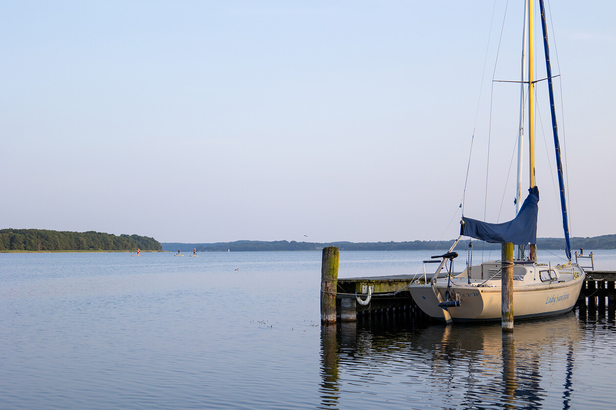 Segelboot an einem Holzsteg im ruhigen Wasser, Wald im Hintergrund.