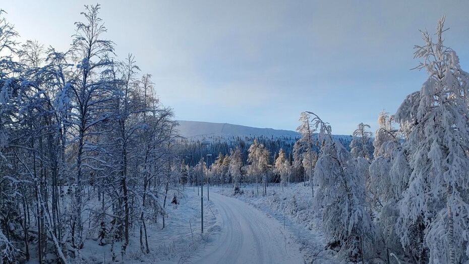 Eine Schneelandschaft mit Wald, durch den ein Weg führt. Im Hintergrund werden die weißen Bäume vom Sonnenlicht warm angestrahlt und man erkennt einen Berg in der Ferne.