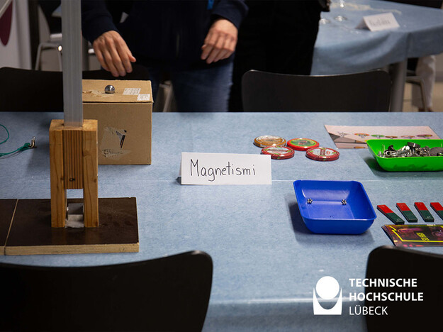 Verschiedene Magnete in Schalen oder Vorrichtungen
