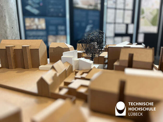 Masterthesis Zuschnitt im Hinterhof Ein Architektonisches Modell aus Pappe