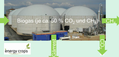 Auf der Grafik steht eine Information über Biogas