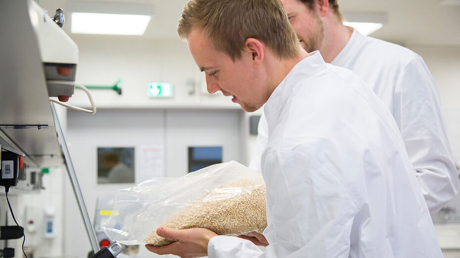 ZWei Studierende befüllen im Labor der TH Lübeck eine Messschüssel mit Getreide