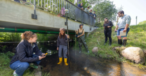 Studierende bei Gewässermessungen in einem Bach bei sonnigem Wetter