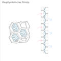 VapoWall bauphysikalisches Prinzip