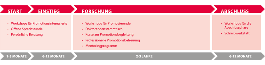 Grafik: Die Phasen einer Promotion: Start, Einstieg, Forschung und Abschluss 