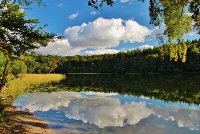 Der Pinnsee im Kreis Herzogtum Lauenburg bei Mölln weist keine oberirdischen Zuflüsse oder Abflüsse auf und wird vom Grundwasser geprägt. Die Wasserstände im Pinnsee sind in den letzten Jahren gesunken. 