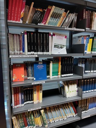 Library bookshelves filled with books labeled "ECONOMIA EN GENERAL."