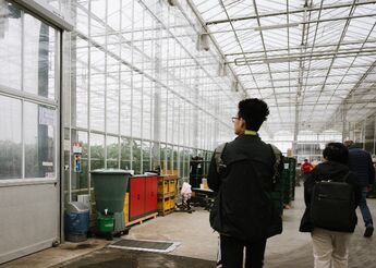 Zwei Studierende stehen mit dem Rücken zur Kamera in einem Gewächshaus 