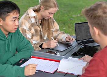 3 Studierende arbeiten im grünen