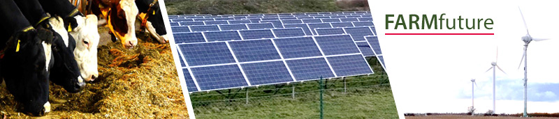 Bild zeigt drei Abschnitte, Kühe, Solaranlage und Windkraftanlage
