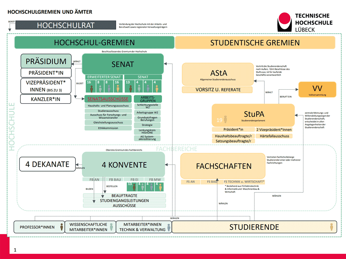 Organigramm zeigt die Gremienstruktur der TH Lübeck 2025. Ausführliche Beschreibung unterhalb im Element.