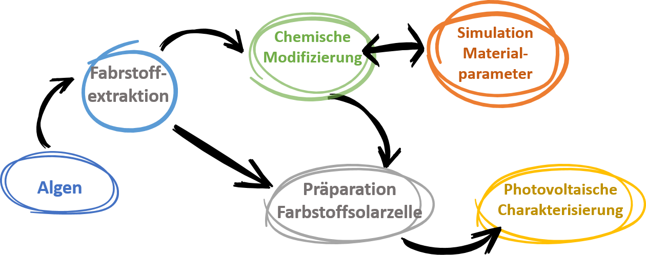 Grafik die die Schritte eines Forschungsprojekts zeigen. Ausführliche Beschreibung im Element unterhalb.