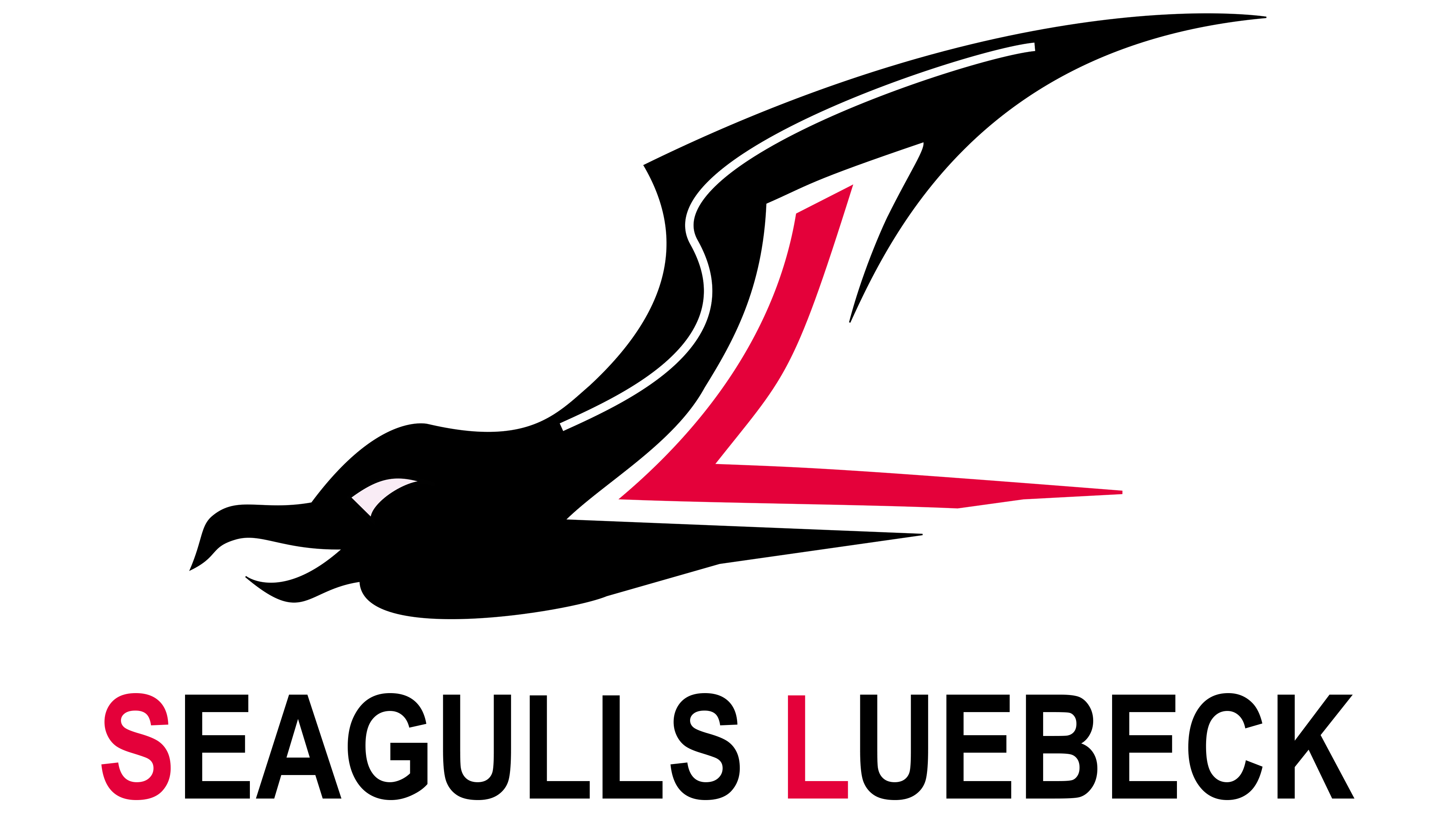 Seagulls Lübeck