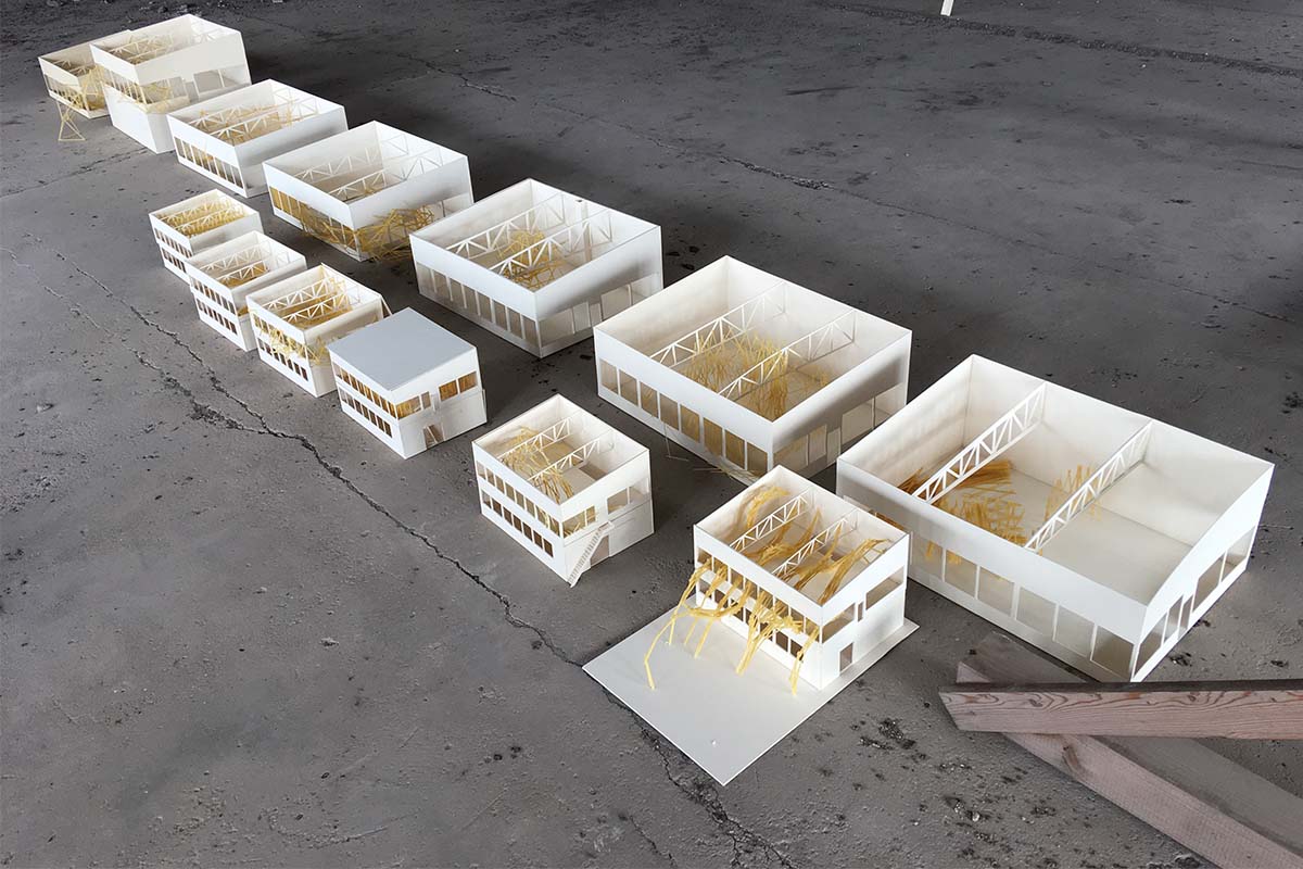 Reihe weißer Architekturmodelle mit unterschiedlichen gelben Strukturen.