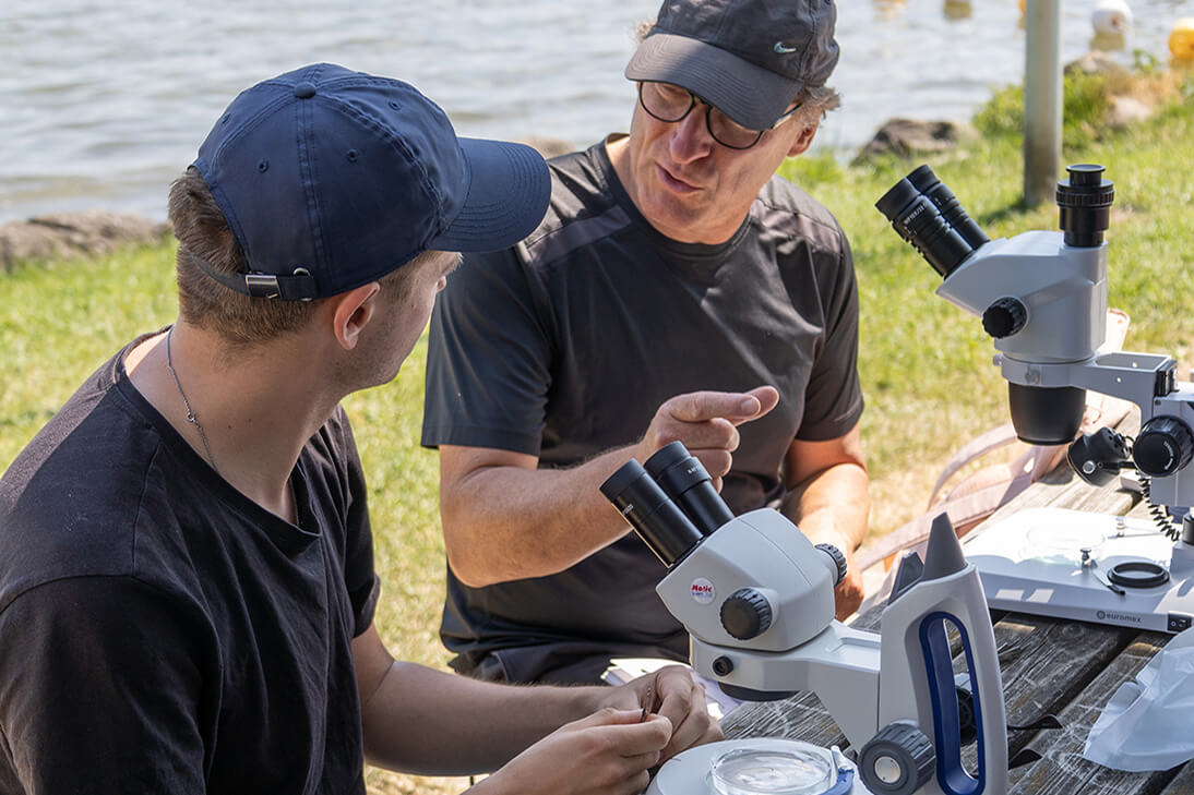 Student und Professor untersuchen gemeinsam eine Probe unter Stereomikroskopen im Freien am Wasser